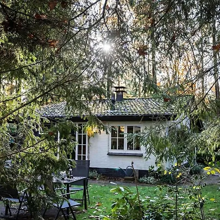 Paulus aan de bos met hot tub-2
